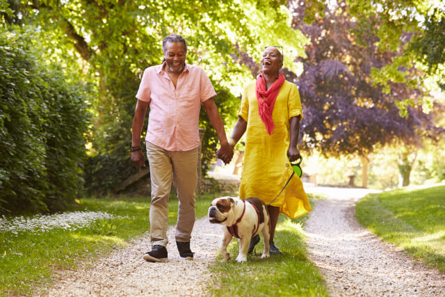 Couple holding hands walking with dog