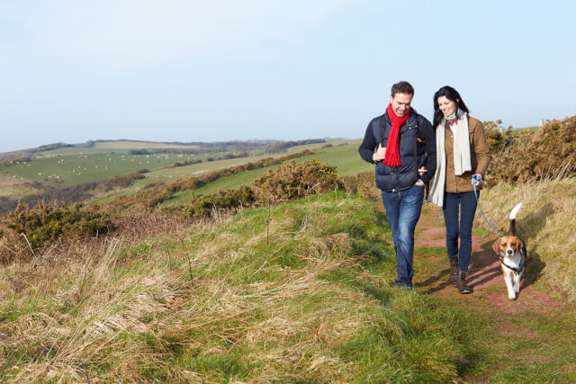 Couple walking with dog