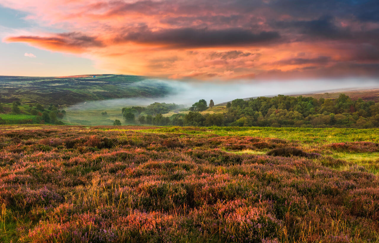 Yorkshire