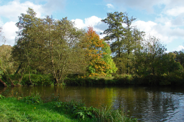 River Wey near Shalford