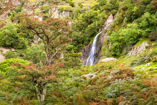 Aber Falls in Showdonia National Park