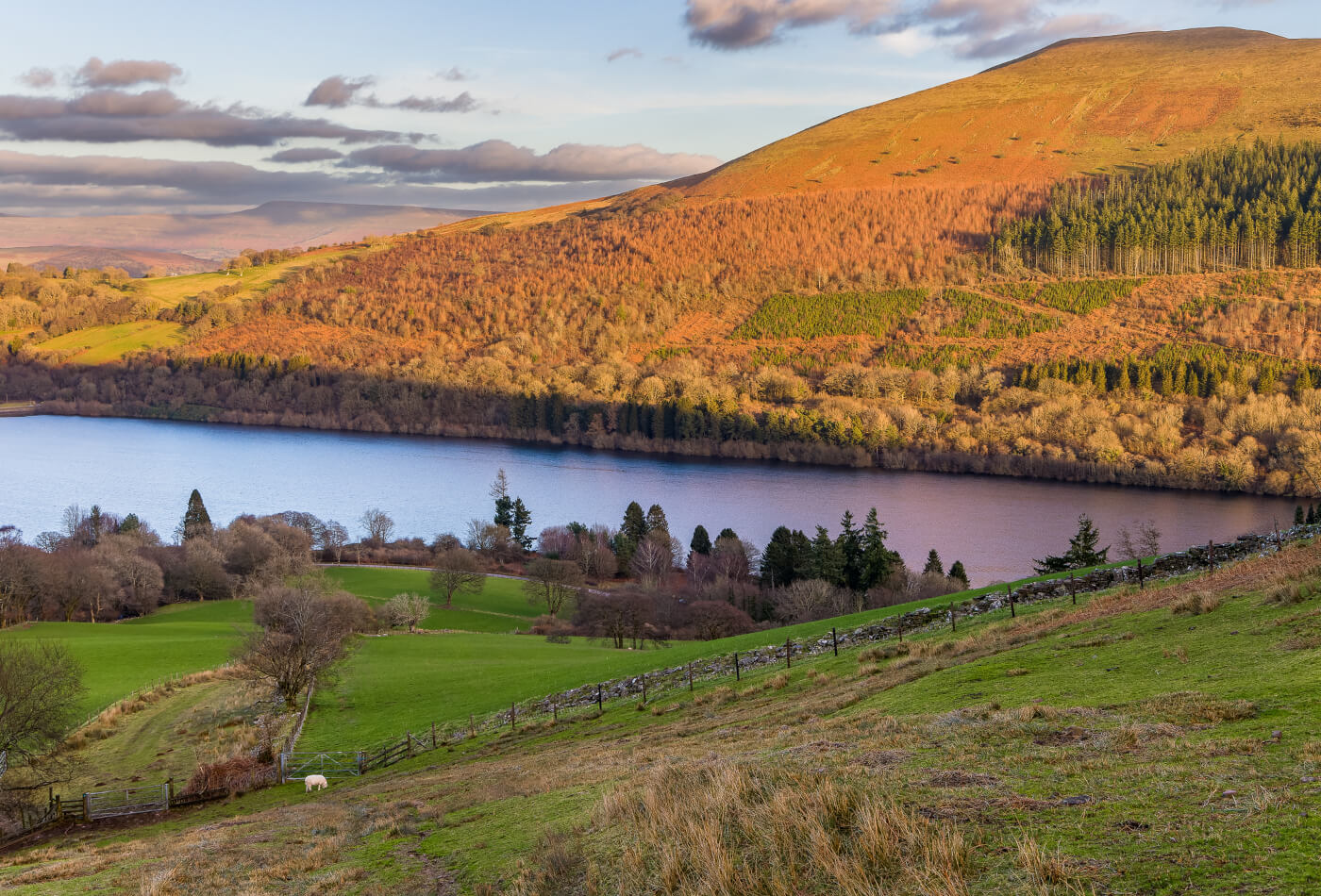 Brecon Beacons Walks feature