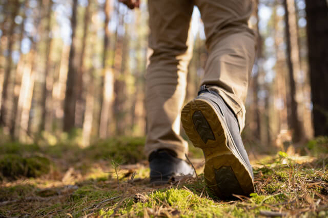 Man hiking through a forest