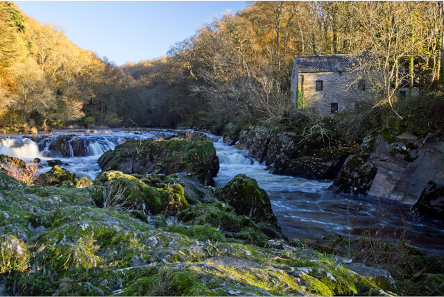 Cenarth Falls