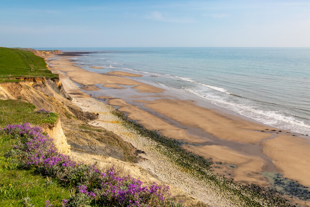 Compton Bay, a dog-friendly beach 