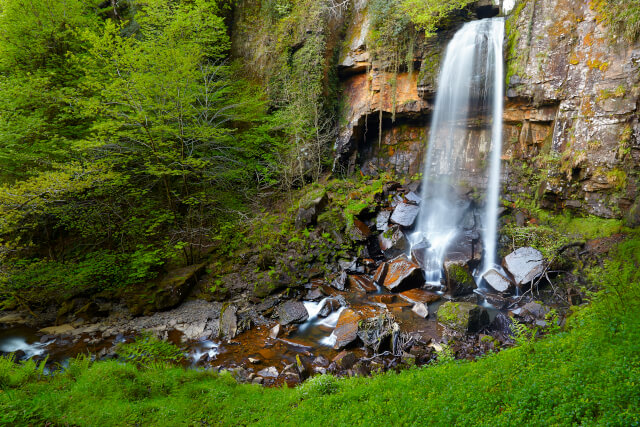 Melincourt waterfalls