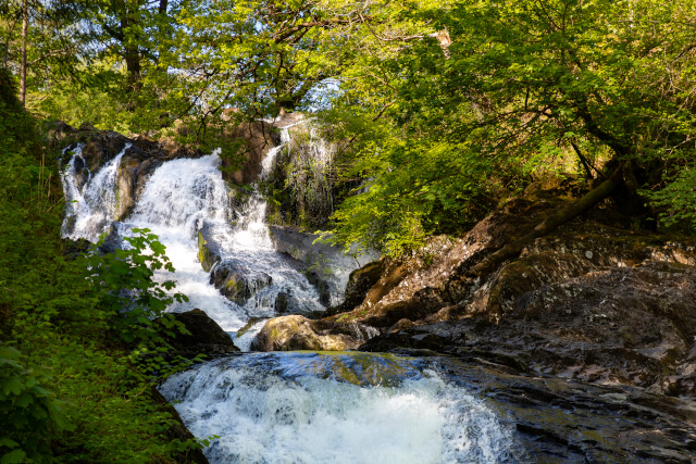 Swallow Falls Betws y Coed