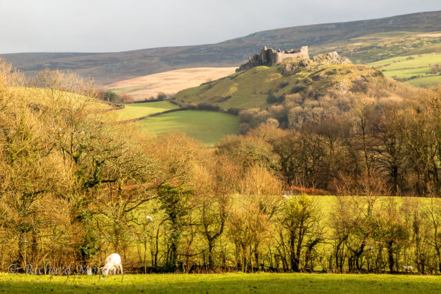 carreg cennen ruins and countryside