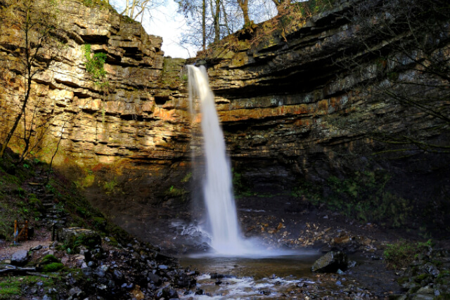 Hardraw Force 