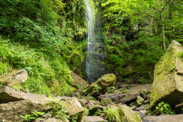 Mallyan Spout Waterfall 