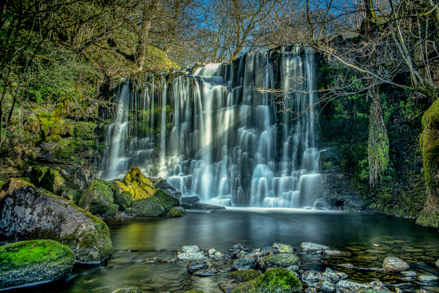 Scale Haw Force 