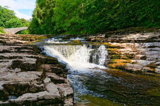 Stainforth Force 