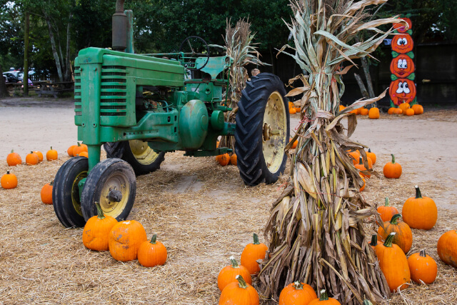 Arnprior Farm 