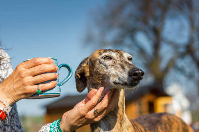 Woman holding coffee cup and stroking her dog