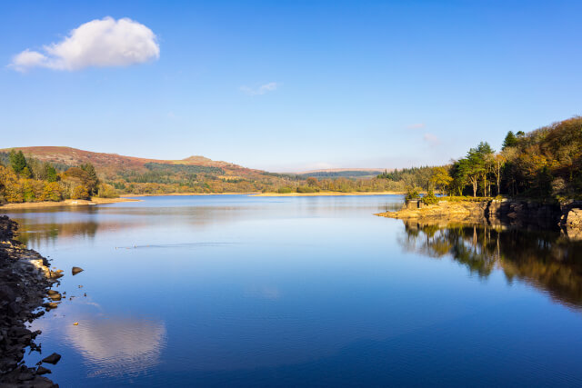 Burrator Reservoir 