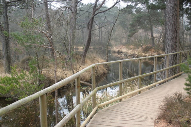 Bystock Nature Reserve 