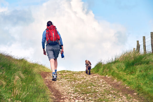 Hiker with dog