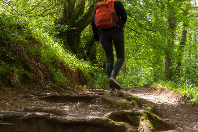 Lydford Gorge 