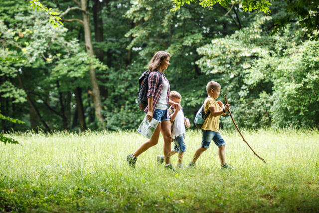 Mother walking with two sons in forest