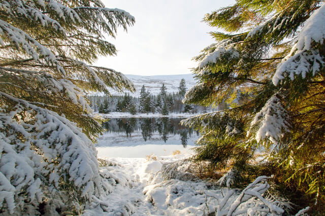 Snowy Brecon Beacons National Park