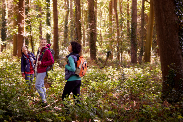 Group of friends hiking in a forest