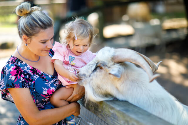 Mother and child petting a goat