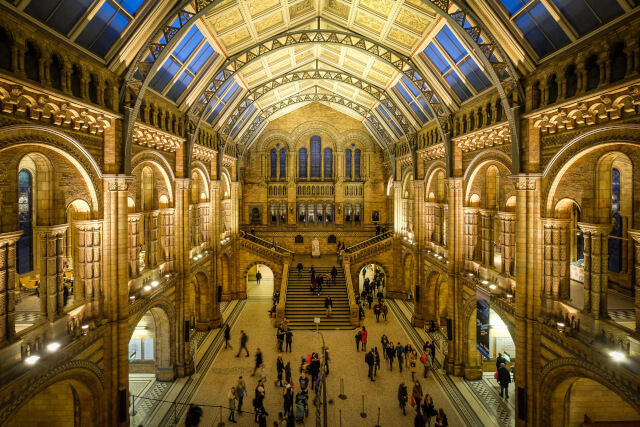 Natural History Museum, London