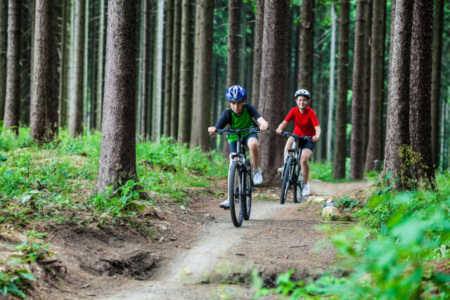 Two Teens Mountain Biking in a Forest