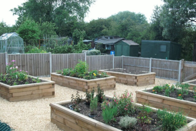 Dementia Allotments