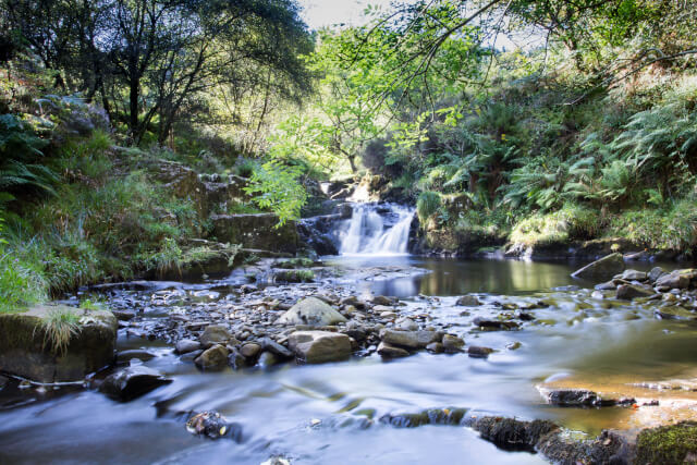 Glenashdale Falls