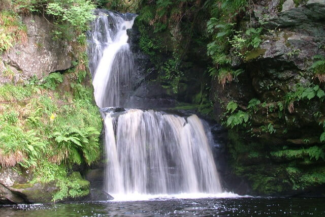 Linn Falls