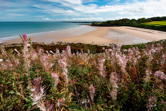 Lligwy beach