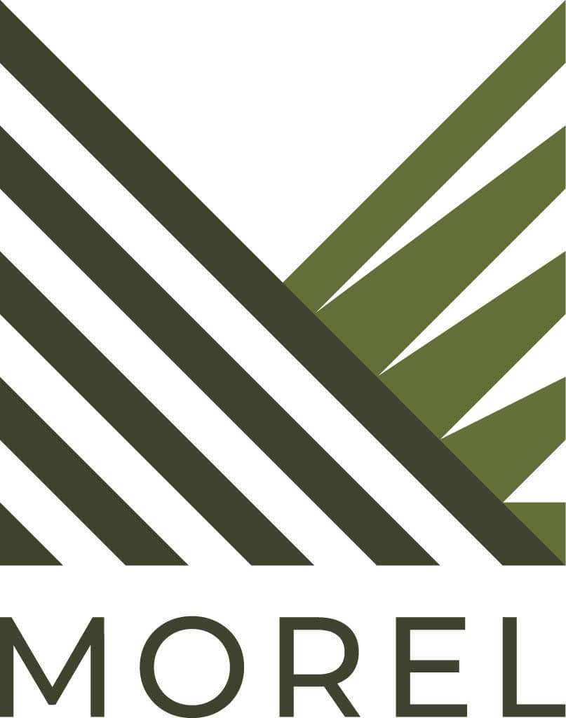 Morel