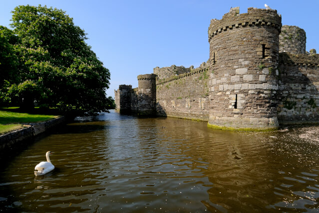 beaumaris castle