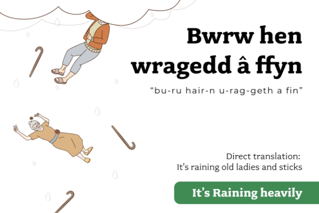 Illustration of the saying 'it's raining old ladies and walking sticks' in Welsh