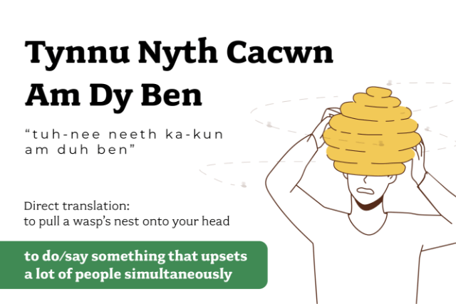 How to say Tynnu Nyth Cacwn Am Dy Ben in Welsh