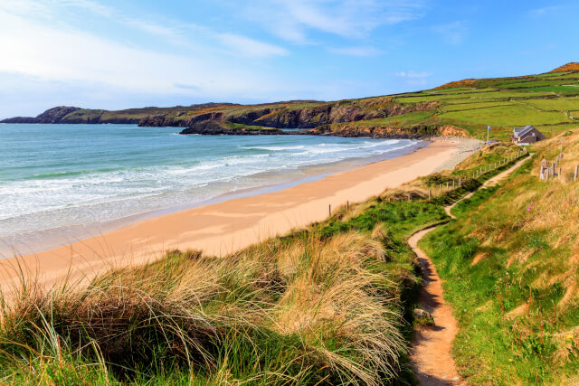 Whitesands Bay Beach