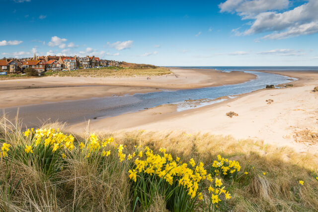 Alnmouth Beach