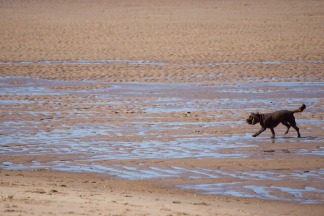 Warkworth Beach