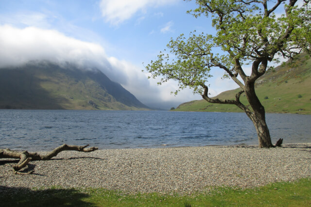 crummock south beach