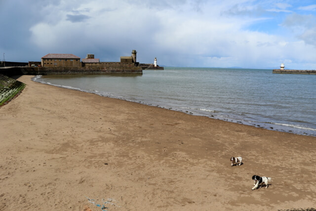 whitehaven harbour beach