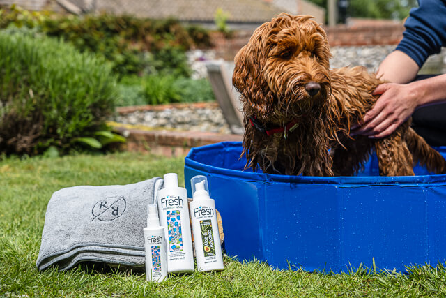Dog in outside bath with Rufus & Rose bath products