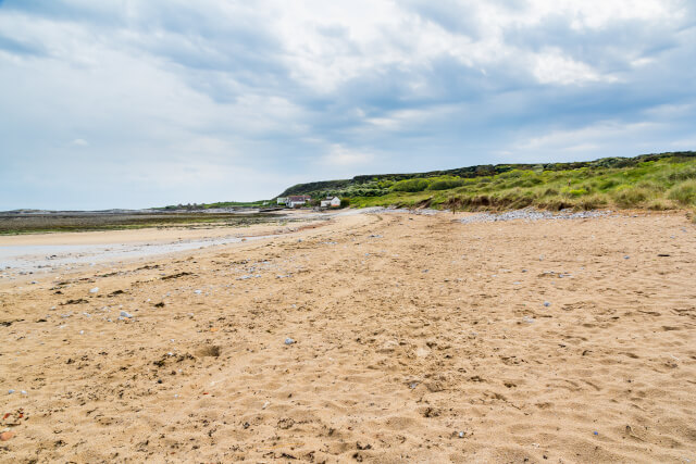 Port Eynon Bay, Gower