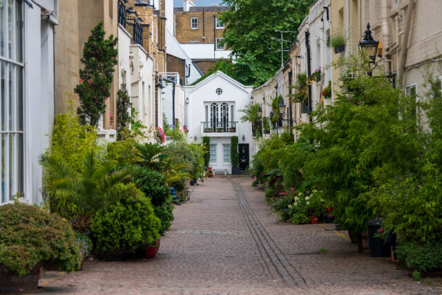 alleyway full of greenery