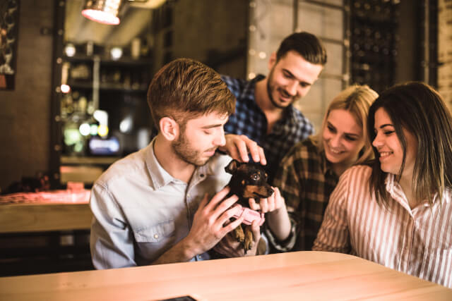 dog friendly pubs in northumberland