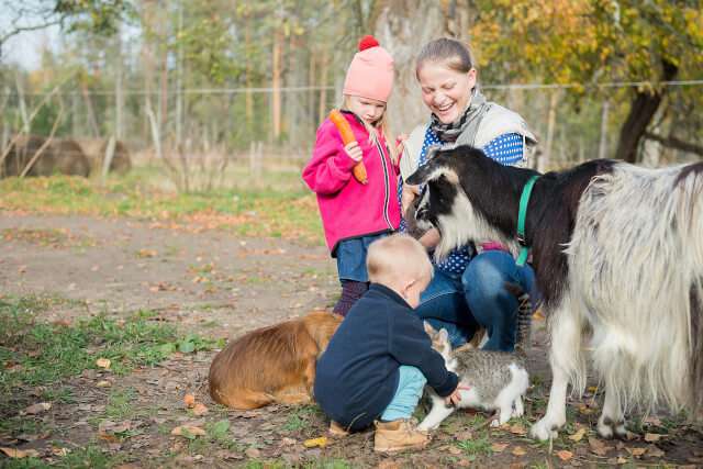Woman and children surrounded by goats and small animals.