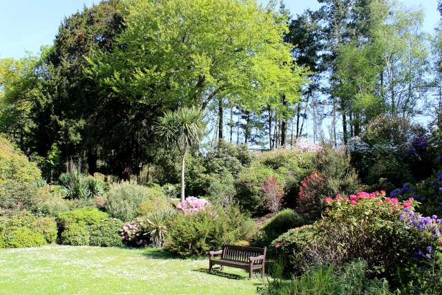 Wooden bench sitting on a recently mown lawn, with a curving flower border providing a colourful background of seasonal planting.