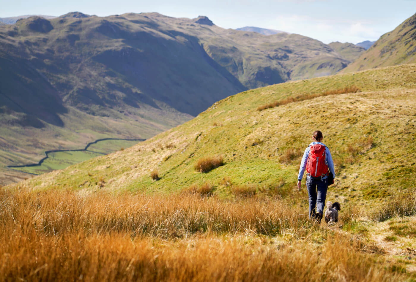 Lake District Dog Walks