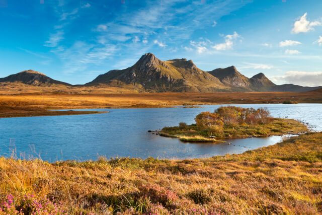 Ben Loyal