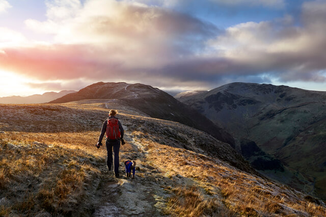 A dog and owner walking on a path on a mountain